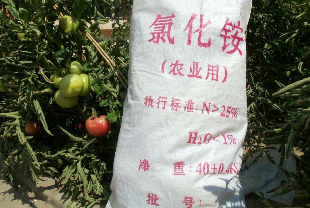 1597733019132778.png clip_image005.png